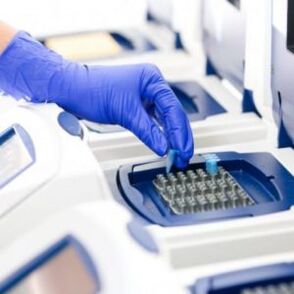 Análise PCR